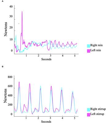 The Effects of a Real-Time Visual Kinetic Feedback Intervention on Shock Attenuation of the Equestrian Rider's Trunk: A Pilot Study